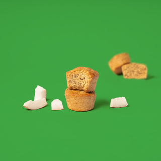 Oat bite on green background with surrounding coconut chunks