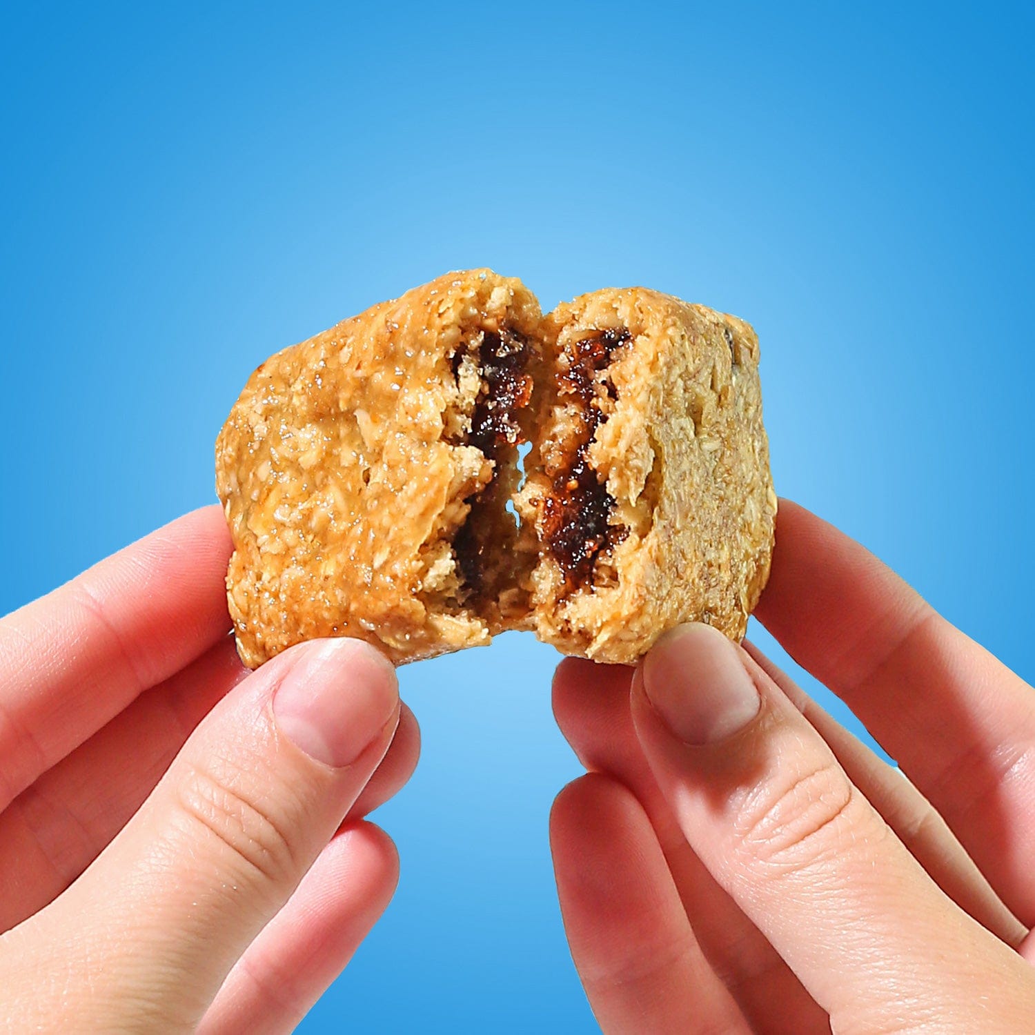 Blueberry Fig Bars