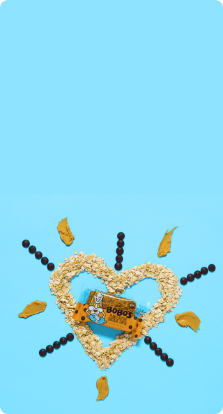 Oats laid out in the shape of a heart with the Peanut Butter Chocolate Chip bar in the center on a light blue backdrop