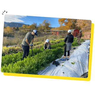 Bobo's team gardening