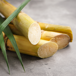 Sugar Cane Stalks