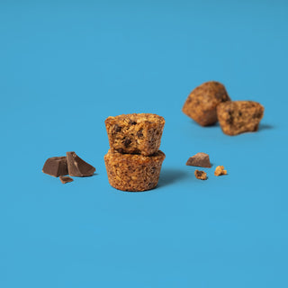 Oat bite on blue background with surrounding chocolate chips