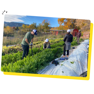 Bobo's team gardening